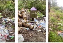 Tourisme durable et forêts urbaines: Savoir investir dans la protection et la rentabilité