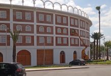 Plaza de Toros: Y a personne pour prendre le taureau par les cornes?