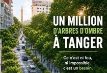 Un million d’arbres d’ombre à Tanger: Ce n’est ni fou, ni impossible, c’est un besoin
