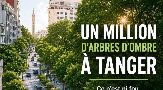 Un million d’arbres d’ombre à Tanger: Ce n’est ni fou, ni impossible, c’est un besoin