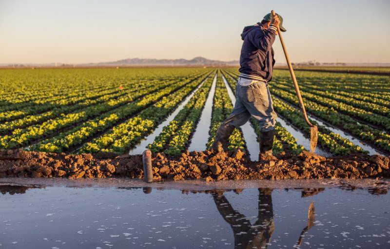 eau-agriculture-9