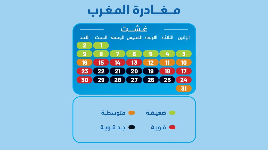 WhatsApp Image 2026-08-23 at 17.17.28