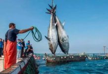 La carte de la pêche maritime
