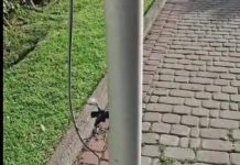Tanger: Un câble électrique à nu menaceles écoliers de Berchet