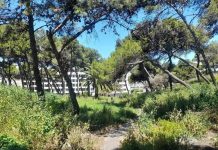 Cimetière de Bouarrakia: Jusqu’à quand cette situation va-t-elle durer?